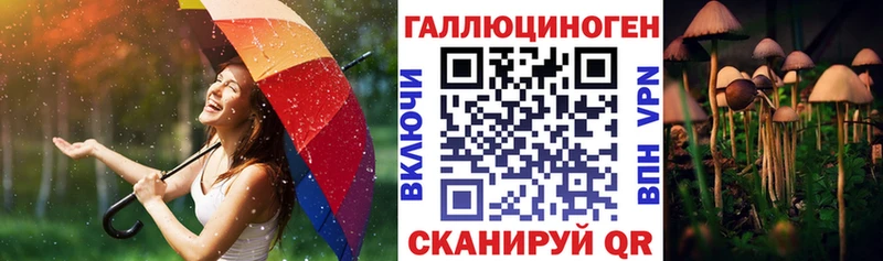 blacksprut ссылки  Агрыз  Псилоцибиновые грибы GOLDEN TEACHER  купить закладку 