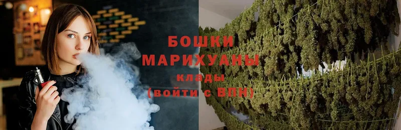 Бошки Шишки OG Kush Агрыз